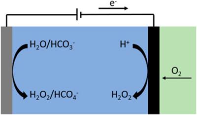 Combined anodic and cathodic peroxide production in an undivided carbonate/bicarbonate electrolyte with 144% combined current efficiency